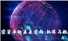 加密货币的未来方向：机遇与挑战