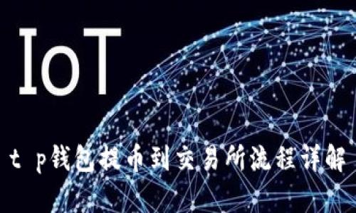 t p钱包提币到交易所流程详解