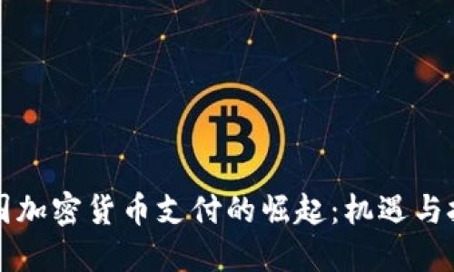 美国加密货币支付的崛起：机遇与挑战