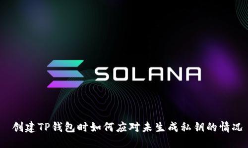  创建TP钱包时如何应对未生成私钥的情况