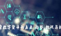 加密数字货币的未来：趋