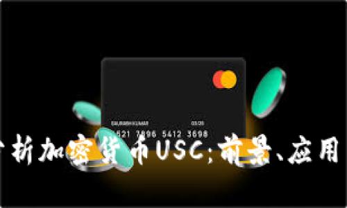 深入分析加密货币USC：前景、应用与挑战