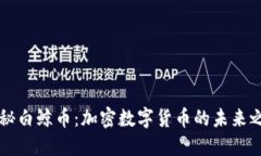 揭秘白鲸币：加密数字货