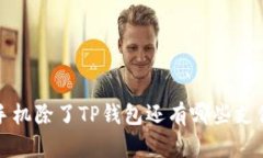  苹果手机除了TP钱包还有