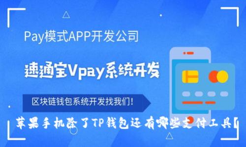  苹果手机除了TP钱包还有哪些支付工具？