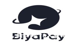 TP钱包转U的TRX费用详解