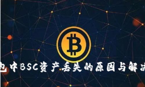TP钱包中BSC资产丢失的原因与解决方案