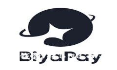 如何向TP钱包转BNB币：完整