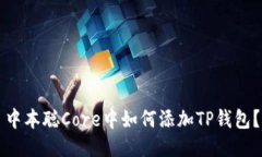 中本聪Core中如何添加TP钱