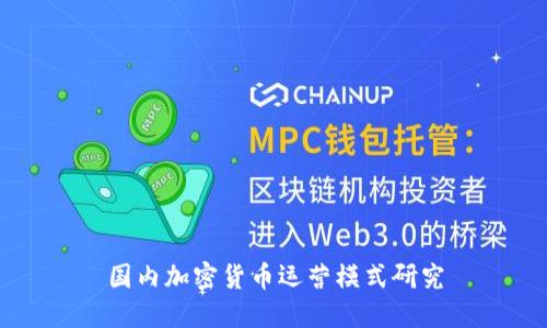 国内加密货币运营模式研究