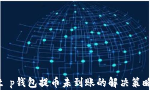 
t p钱包提币未到账的解决策略