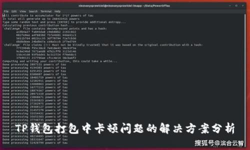 TP钱包打包中卡顿问题的解决方案分析