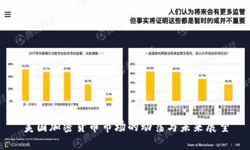 美国加密货币市场的动荡与未来展望