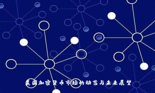 美国加密货币市场的动荡与未来展望