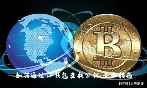 如何通过TP钱包查找公钥：全面指南