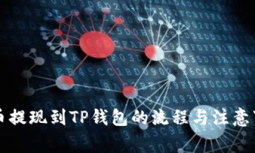 中币提现到TP钱包的流程与注意事项
