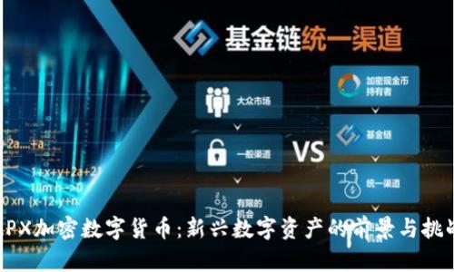 APX加密数字货币：新兴数字资产的前景与挑战