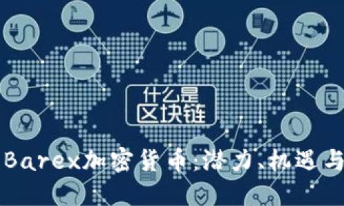 了解Barex加密货币：潜力、机遇与风险