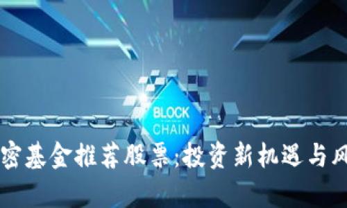 货币加密基金推荐股票：投资新机遇与风险分析