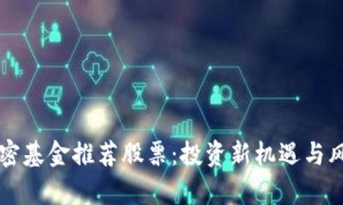 货币加密基金推荐股票：投资新机遇与风险分析