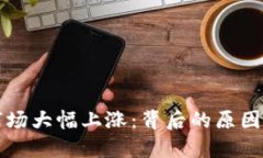 加密货币市场大幅上涨：