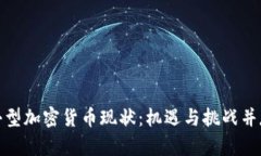 小型加密货币现状：机遇