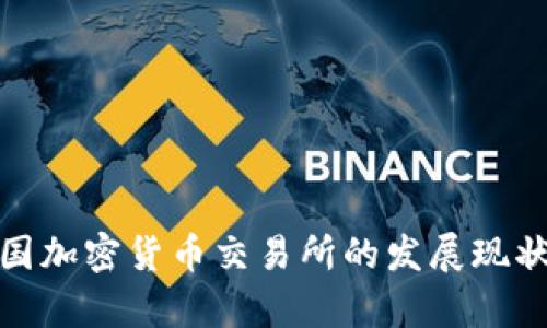 全面解析中国加密货币交易所的发展现状与未来趋势