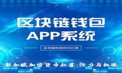 新加坡加密货币私募：潜