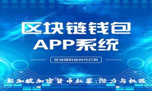 新加坡加密货币私募：潜力与机遇