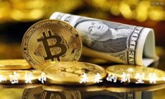 加密货币——未来的新型