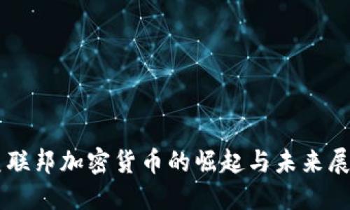 美联邦加密货币的崛起与未来展望