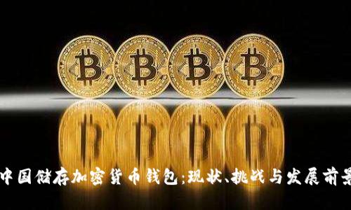 中国储存加密货币钱包：现状、挑战与发展前景