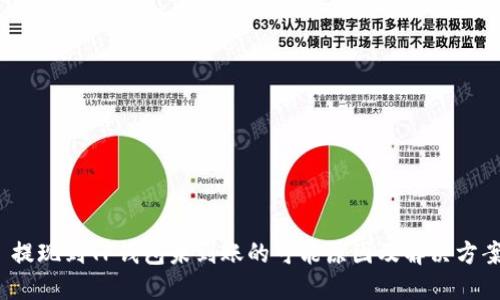  提现到TP钱包未到账的可能原因及解决方案