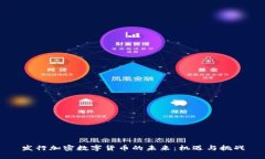 发行加密数字货币的未来