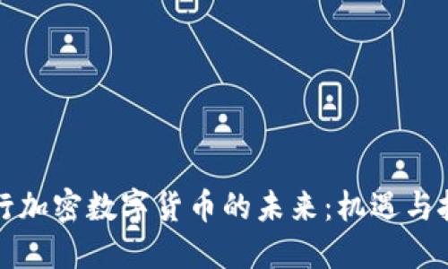 发行加密数字货币的未来：机遇与挑战