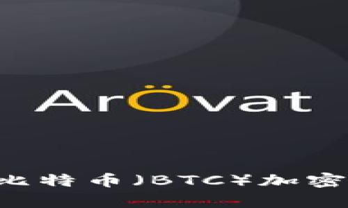 如何有效使用比特币（BTC）加密货币：完整指南