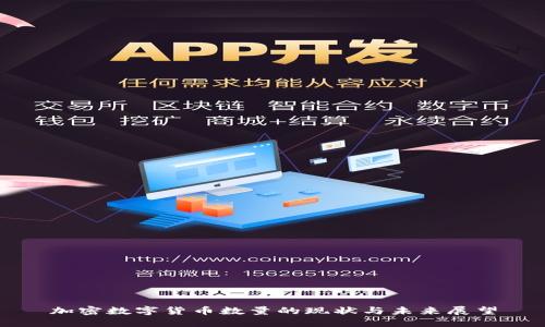 加密数字货币数量的现状与未来展望