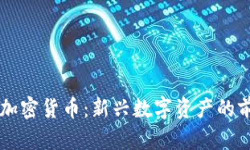  Mewapp加密货币：新兴数字资产的前景与挑战