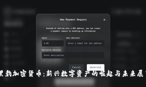黑豹加密货币：新兴数字资产的崛起与未来展望
