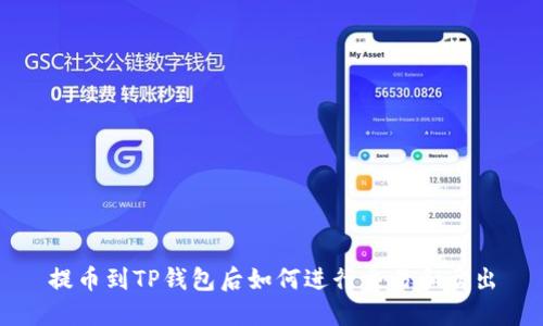 提币到TP钱包后如何进行交易和卖出