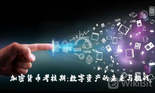  加密货币考核期：数字资产的未来与挑战