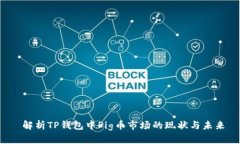  解析TP钱包中Pig币市场的