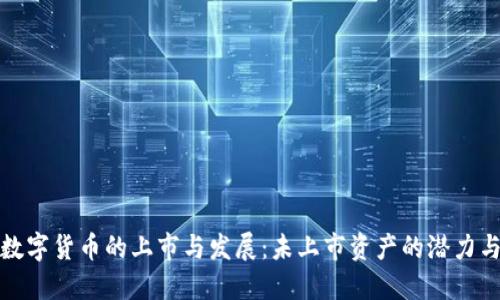加密数字货币的上市与发展：未上市资产的潜力与挑战