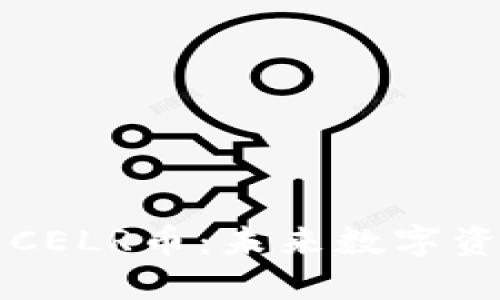 探索TP钱包中的CELR币：未来数字资产的潜力与应用