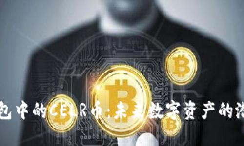 探索TP钱包中的CELR币：未来数字资产的潜力与应用