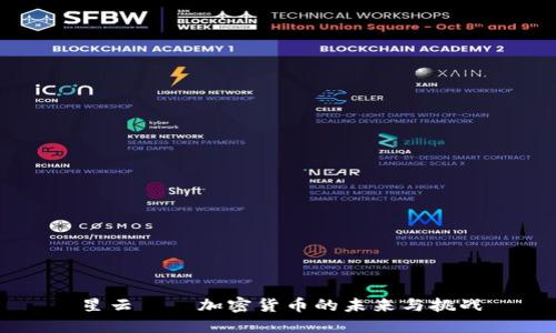 星云——加密货币的未来与挑战