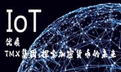 优质TMX集团：探索加密货