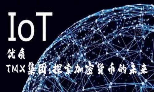 优质
TMX集团：探索加密货币的未来