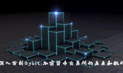深入分析Bybit：加密货币交