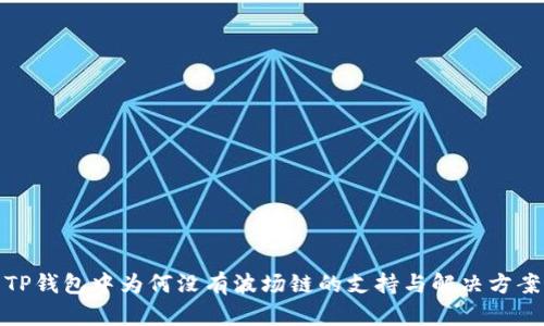 TP钱包中为何没有波场链的支持与解决方案